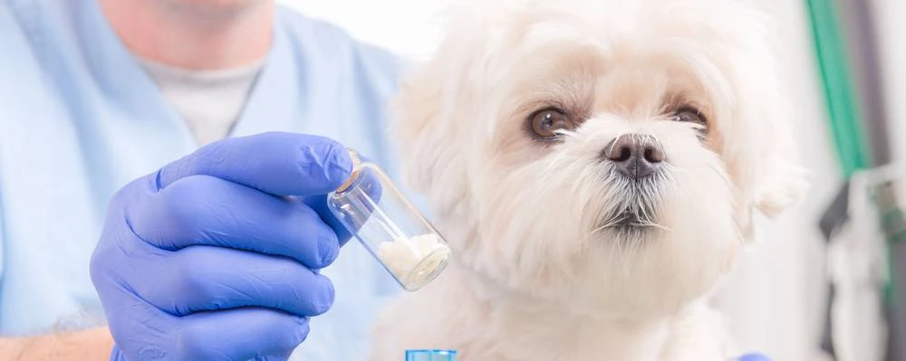 Отличное решение для автоматизации ветеринарной аптеки! Вет клиника